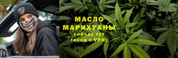 хмурый Арсеньев