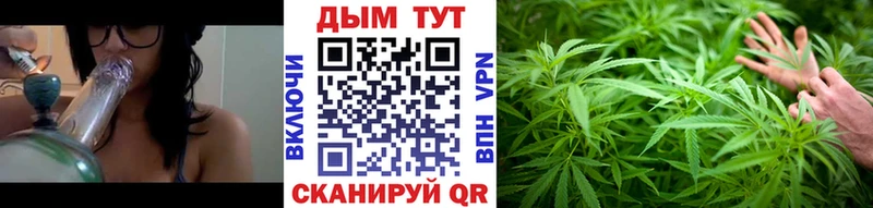 купить наркоту  Шахты  Конопля тримм 
